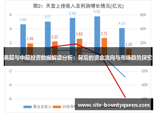 英超与中超投资数据解读分析：背后的资金流向与市场趋势探索